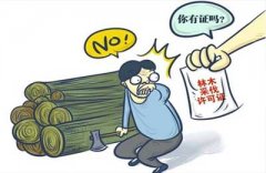 没动手砍树却被判刑到底是为啥 张家港刑事辩护律师以案释法