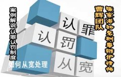 案例解说 认罪认罚制度如何从宽处理 