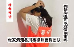 张家港判处拘役可以取保候审吗