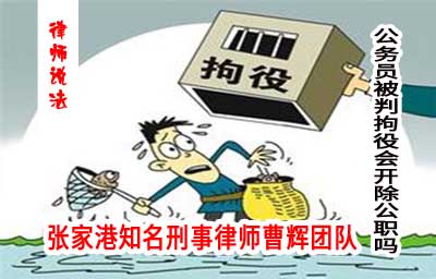 公务员被判拘役会开除公职吗_张家港律师曹辉团队" 