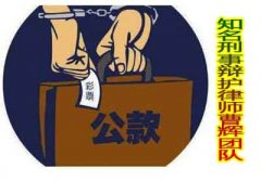 新刑法挪用公款罪根据情节和数额立案标准  