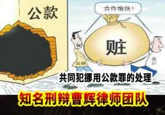 如何处理挪用公款罪的共犯   