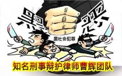 黑社会性质的组织应当同时具备哪些特征？张家港刑事辩护律师