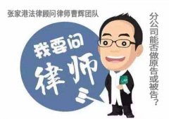 分公司能否做原告或被告？张家港法律顾问律师