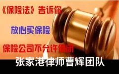 张家港各类保险法律服务律师团队