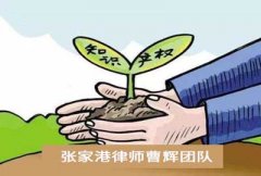 如何结合专利发明目的来准确界定权利要求保护的范围