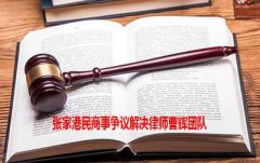 张家港民商事纠纷争议解决律师团队