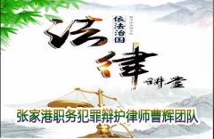 对有影响力的人行贿罪，“情节特别严重”的规定与理解，