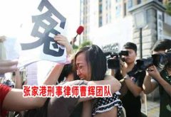 朱红蔚申请广东人民检察院无罪逮捕国家赔偿案 张家港刑事律师事务所