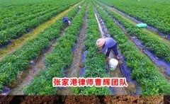 某纺织品有限公司诉江苏如皋自然资源局行政处罚案 　