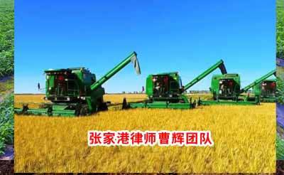 陈某某诉洋浦经济开发区管委员会城乡建设行政强制案_张家港律师曹辉团队" 