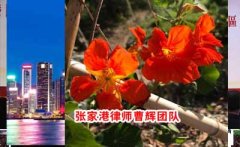 香港特别行政区法院案例五 郭顺开诉永成化工有限公司案