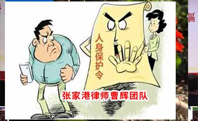 陈某申请人身安全保护令案 张家港律师_张家港律师曹辉团队" 