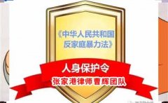 吴某某申请人身安全保护令案 张家港律师