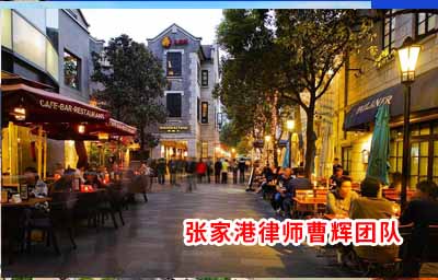 某村委会申请执行上海某园林公司等土地租赁合同纠纷案件