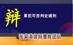 张家港打刑事案件好的律师 长期吸毒诱发的故意杀人典型案例