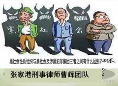 黑社会性质组织与黑社会及涉黑犯罪集团三者之间有什么区别？