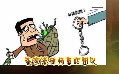 曹辉团队案例说法 捕鸟自己食用也算犯罪吗 _张家港律师曹辉团队"